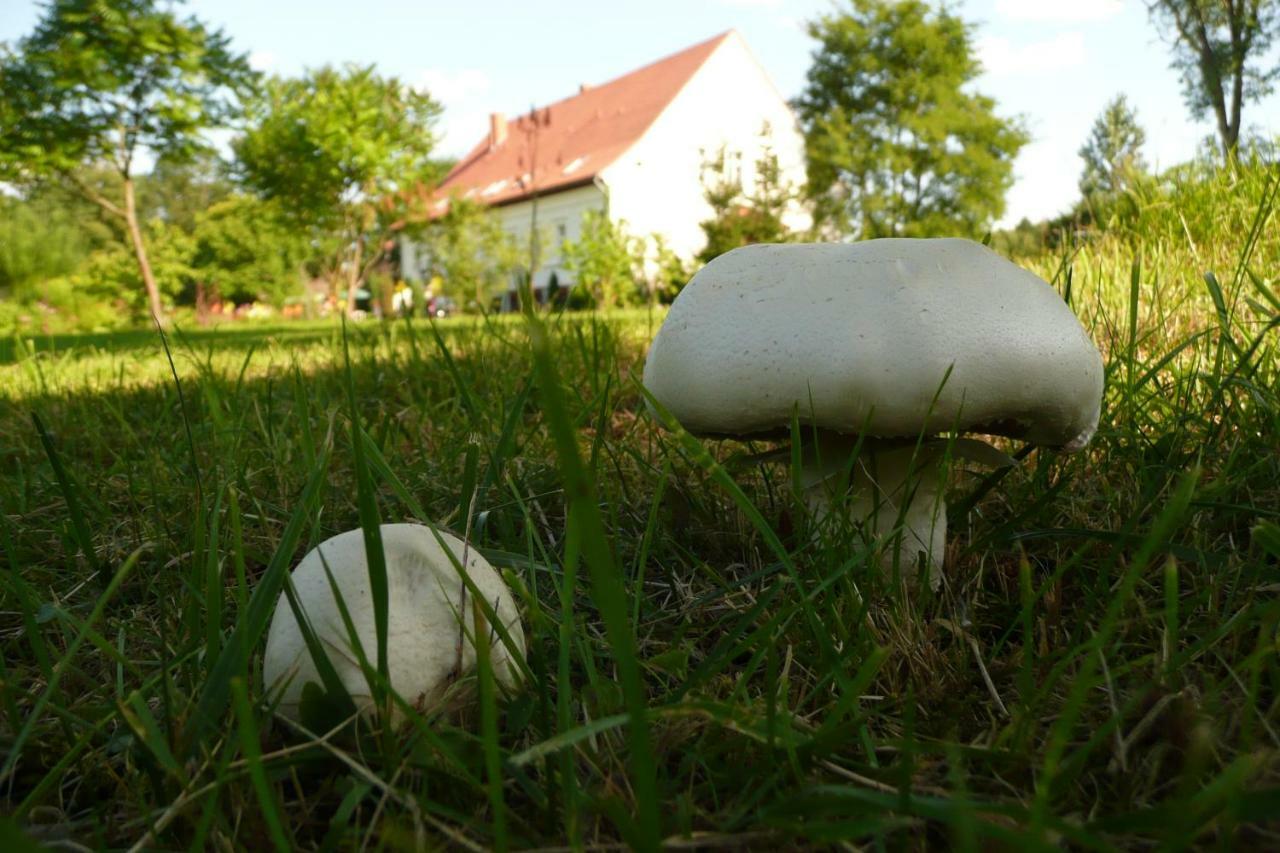 Vila Miodowy Dwor Rusinowo  Exteriér fotografie